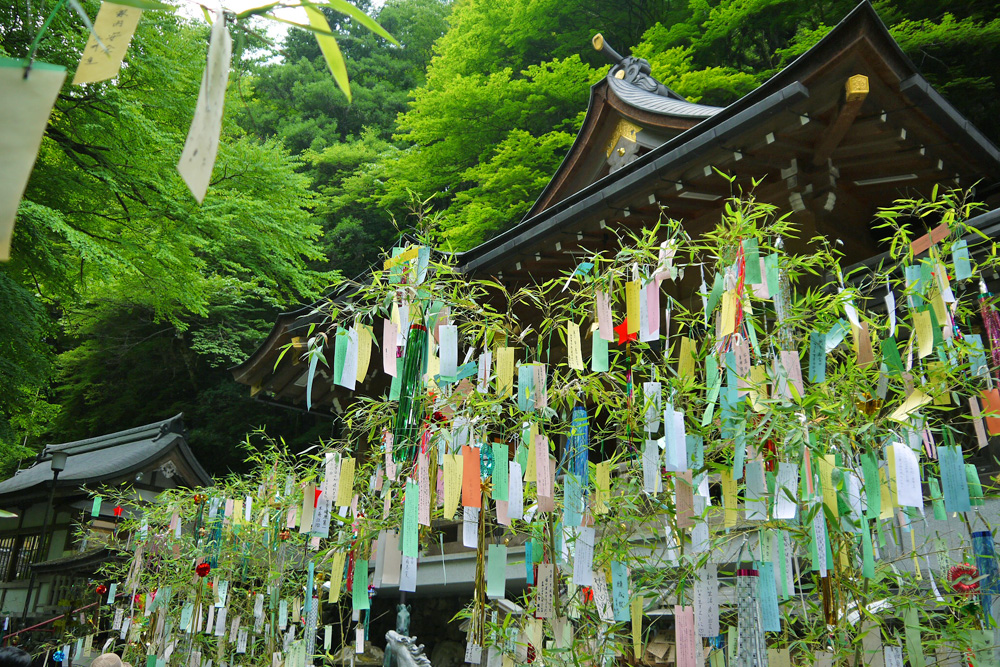 京都フリー写真素材 京都をつなぐ無形文化遺産